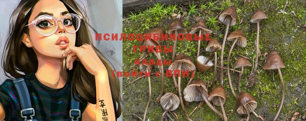 крисы Вязники