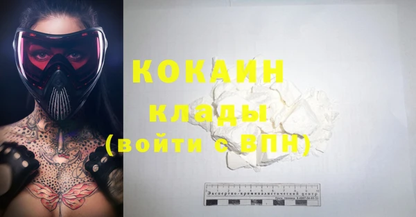 крисы Вязники