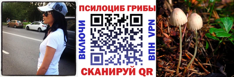Псилоцибиновые грибы MAGIC MUSHROOMS  Купить где  Кириллов 